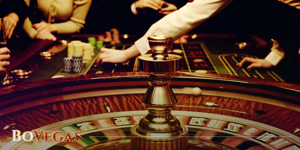 Roulette Winners Stories