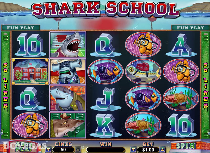 Slots Shark School