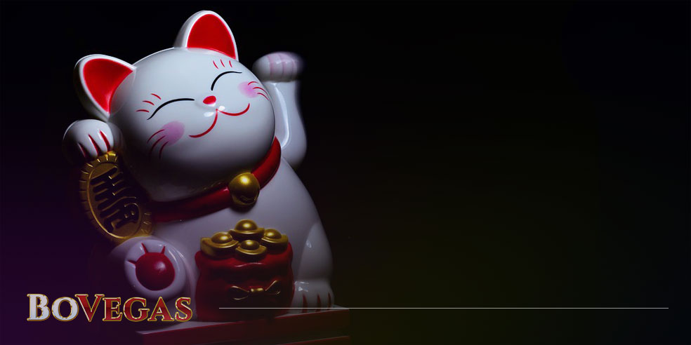 Animals Fortune Lucky cat