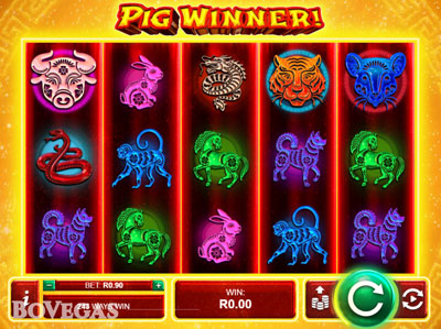 Gambling Pig Winner!