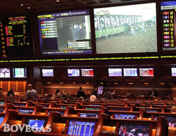 Gambling Sports Betting Area