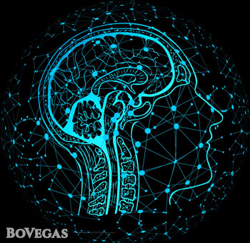 Psychology of gambling Brain of the human