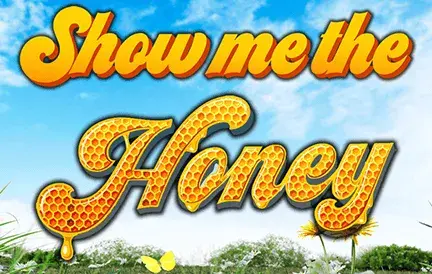 Show Me The Honey Video Slot